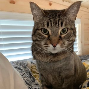 Meet your Posher, Lara